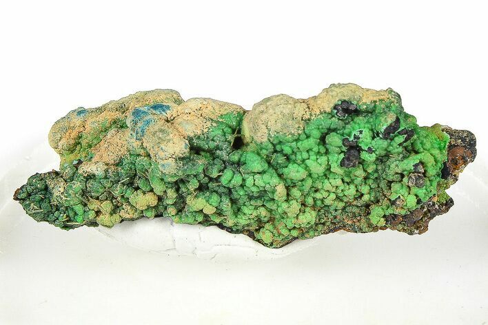 Vibrant Green Conichalcite with Chrysocolla - Namibia #373631